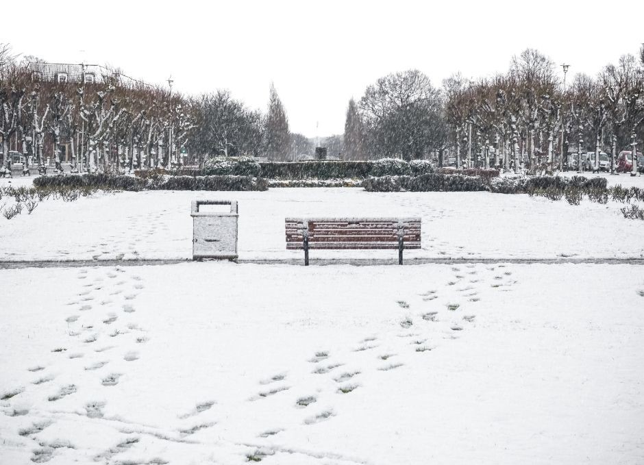 View of a snowy park